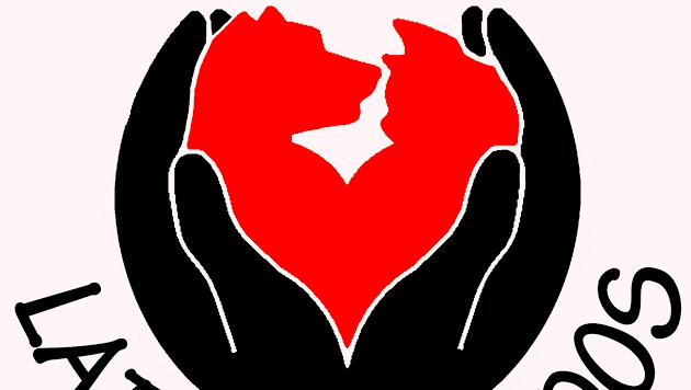 Latidos e Miados Pet Shop - Foto 1